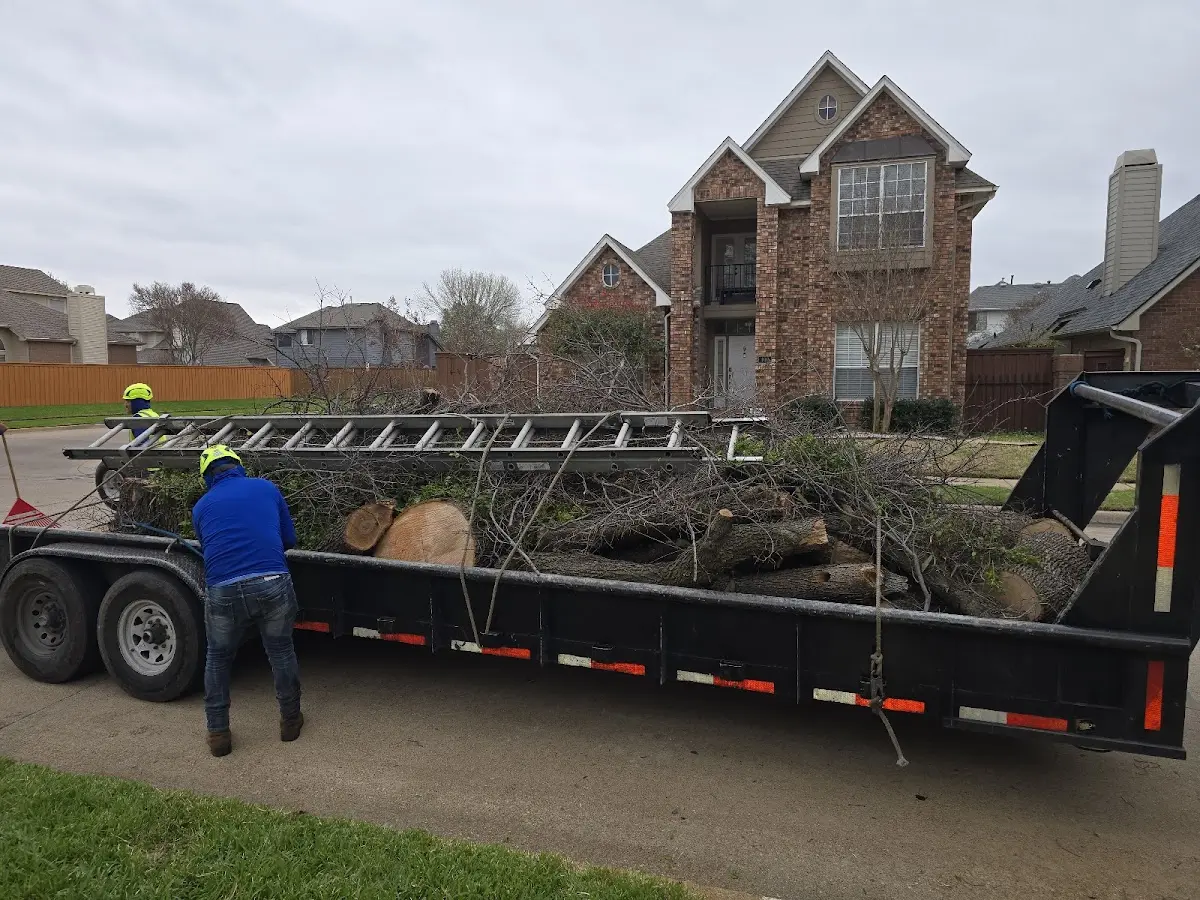 Expert Lot Clearing with proper safety equipment in Mansfield